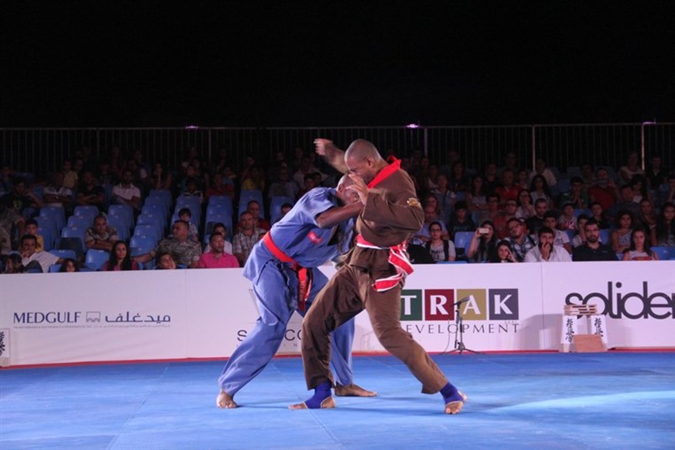 Martial Arts Festival